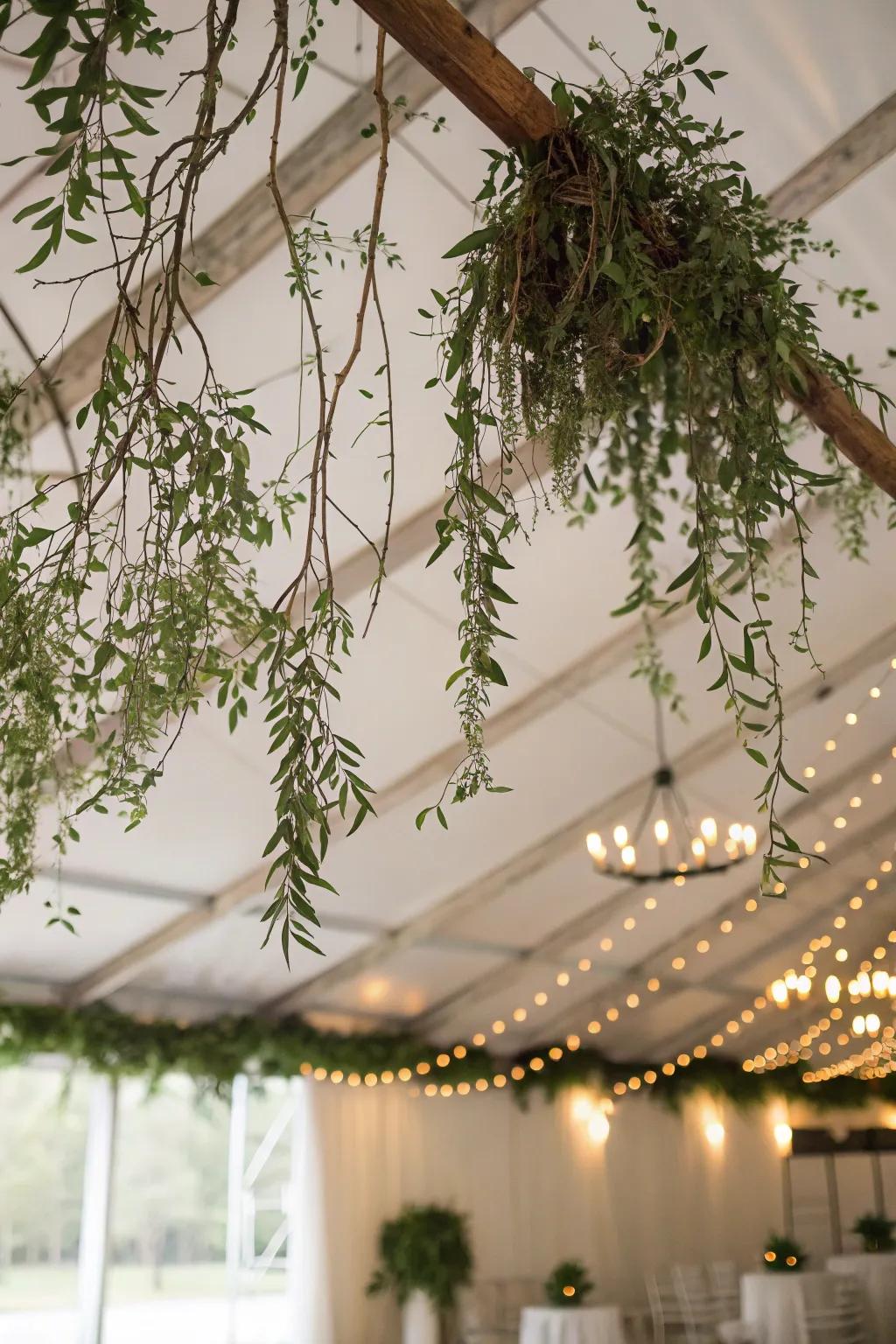 Branch canopies seamlessly integrate nature into indoor spaces.