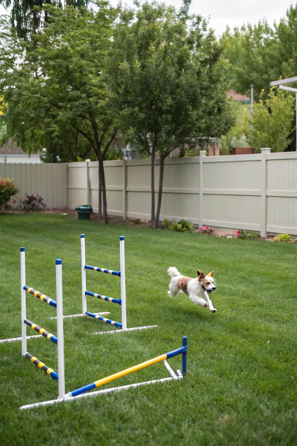 Customizable obstacles offer endless fun and exercise.