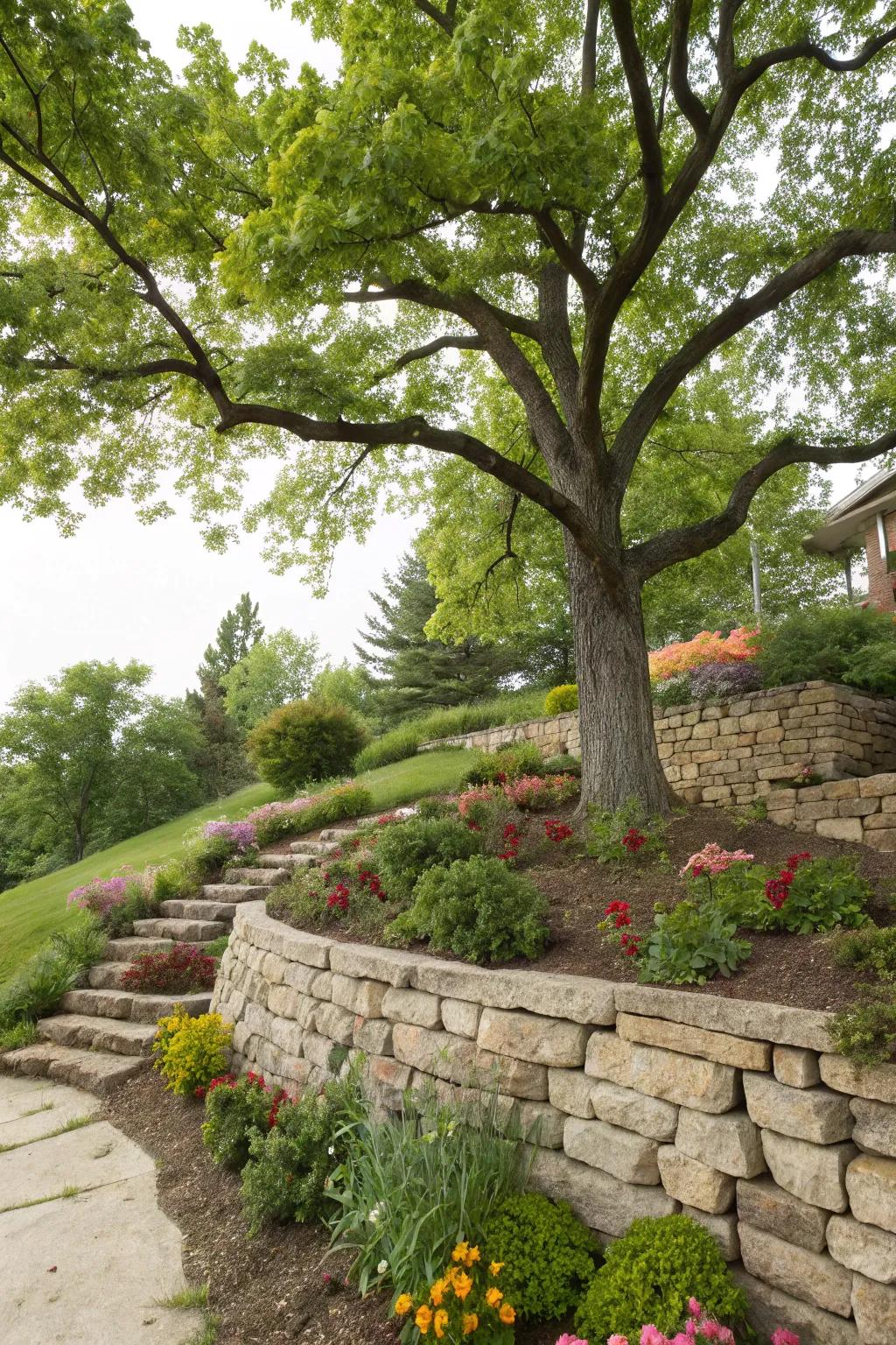 Boundary walls contribute framework and avert erosion near trees.