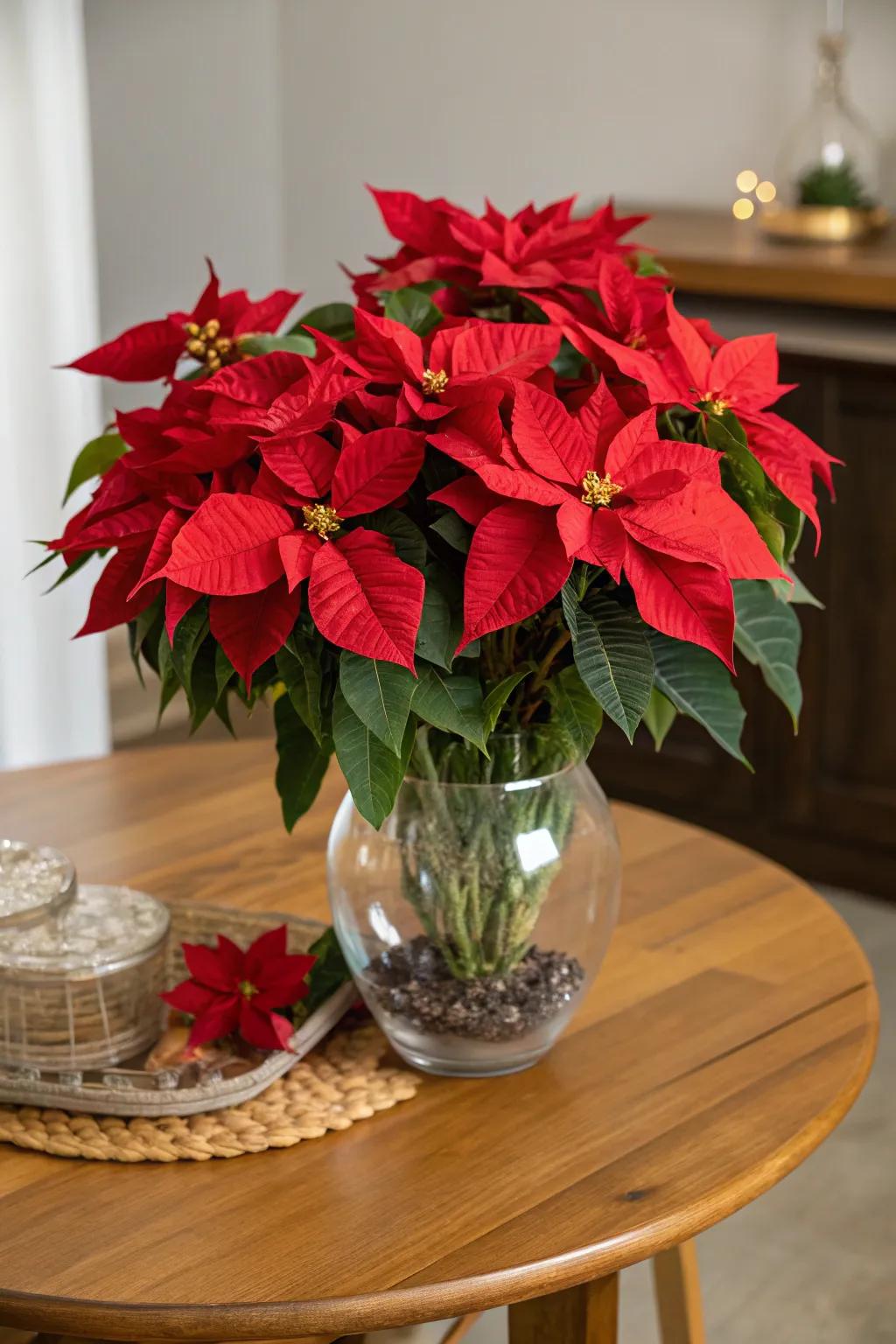 Sophisticated ruby flower compositions for the holidays.