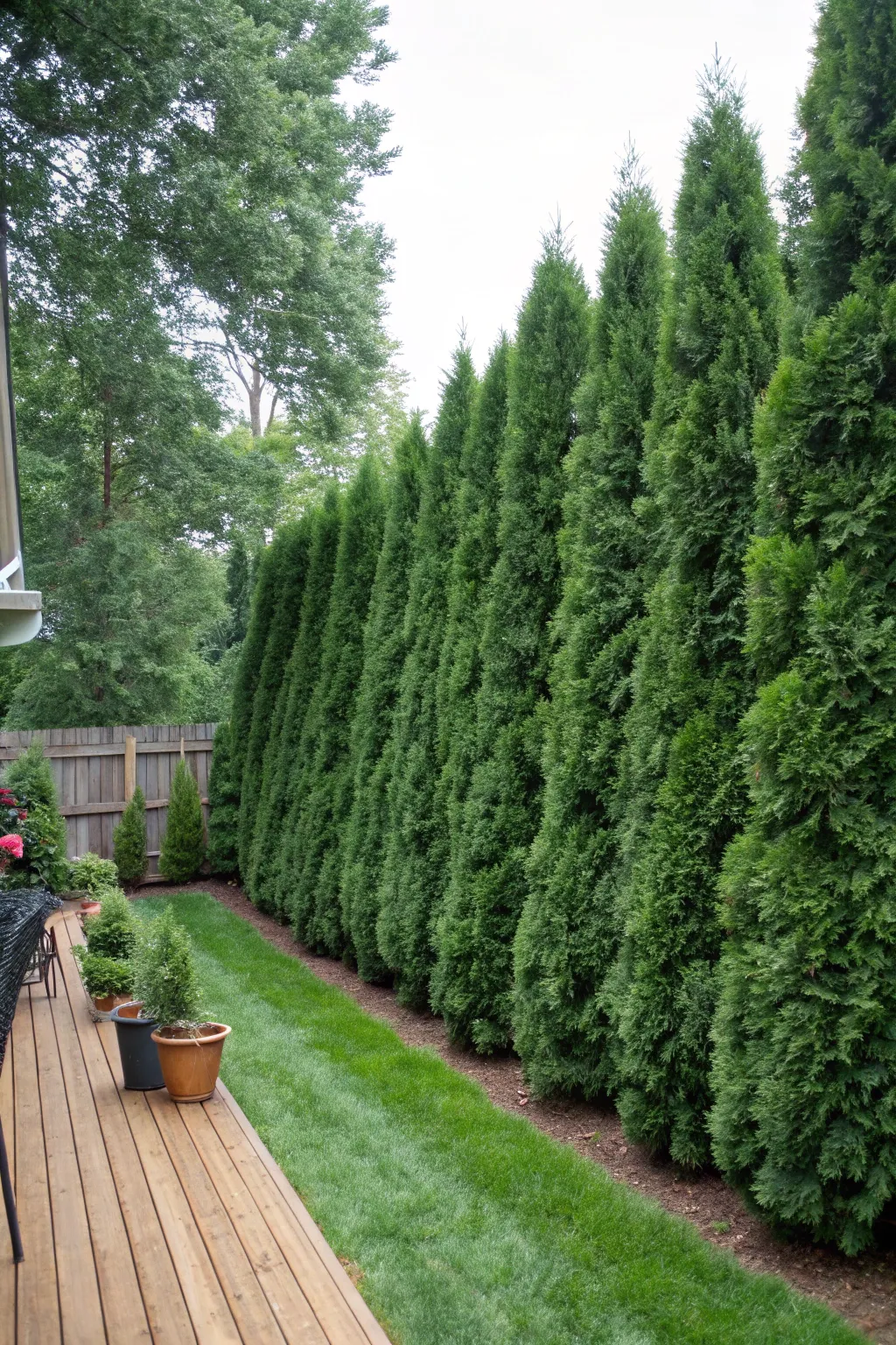Innovative Tree Fence Layouts for Every Yard