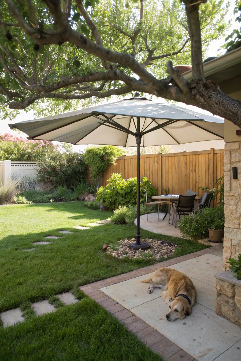 Stylish Designs for Outdoor Dog Areas